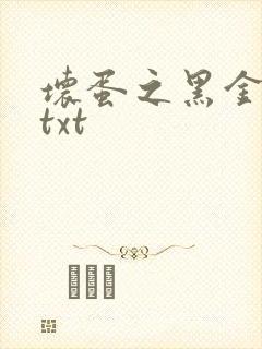 坏蛋之黑金帝国txt