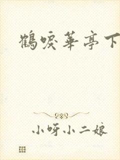 鹤唳华亭下载