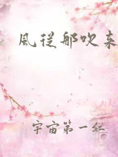 风从那吹来小说