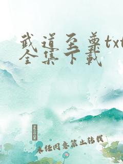 武道至尊txt全集下载