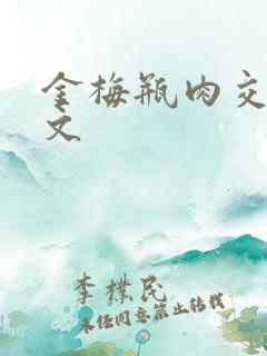 金梅瓶肉交白话文