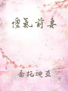傻气前妻