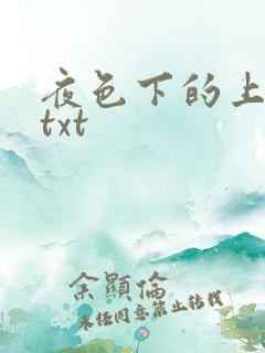 夜色下的上海滩txt