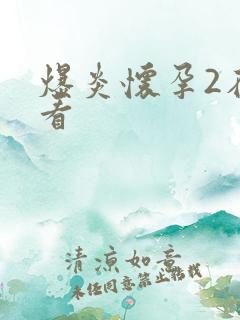 爆炎怀孕2在线看