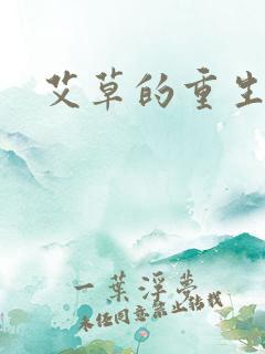 艾草的重生之路