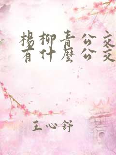 杨柳青公交站都有什么公交车