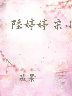 陆婷婷 宋小易