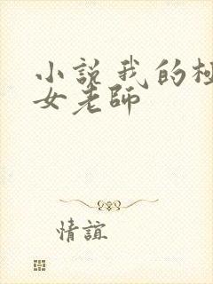小说 我的极品女老师