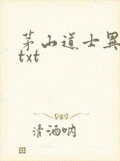 茅山道士异界游txt