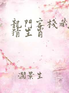 龙门客栈藏真龙猜生肖