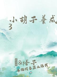 小胡子养成计划3