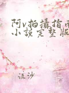 阿v拍摄指南说小说完整版