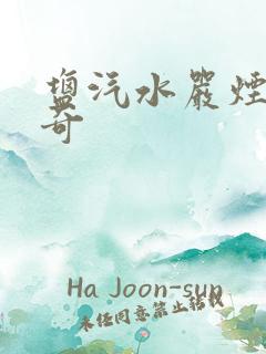 盐汽水严烟薛子奇