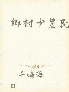 乡村少农民