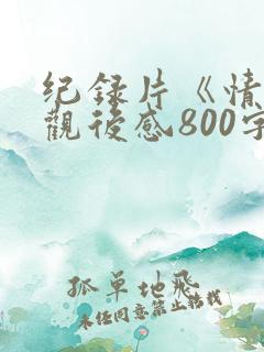 纪录片《情怀》观后感800字