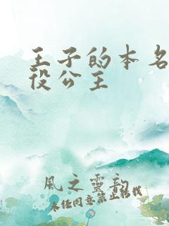 王子的本名是恶役公主