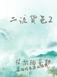 二流货色2