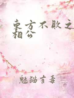 东方不败之狐狸相公