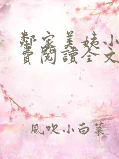 邻家美姨小说免费阅读全文