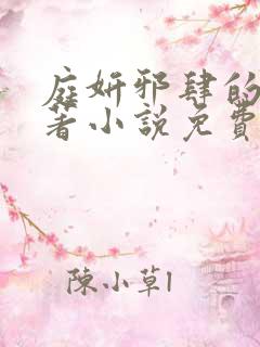 庭妍邪肆的爱原著小说免费