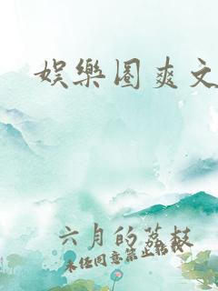 娱乐圈爽文