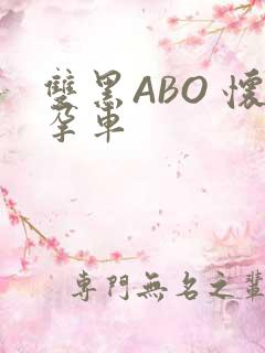 双黑ABO 怀孕车