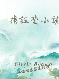 杨钰莹小说阅读