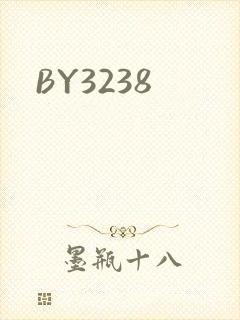 BY3238