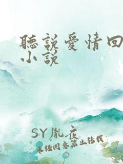 听说爱情回来过小说