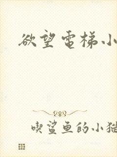 欲望电梯小说