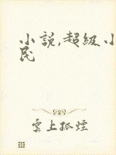 小说,超级小农民