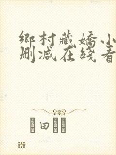 乡村藏娇小说未删减在线看