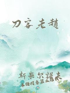 刀客老赵