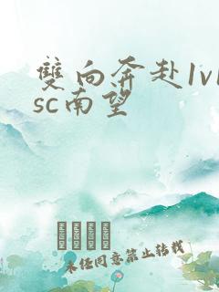 双向奔赴1v1sc南望