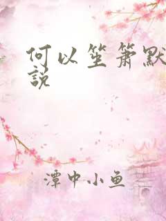 何以笙箫默 小说