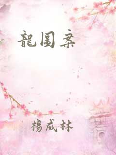 龙图案