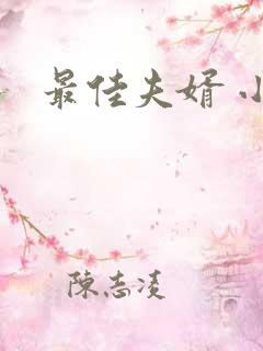 最佳夫婿 小说