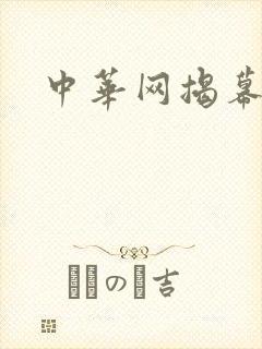中华网揭幕内参