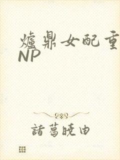 炉鼎女配重生之NP