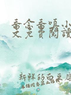 乔念乔嗔小说全文免费阅读