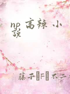 np 高辣 小说