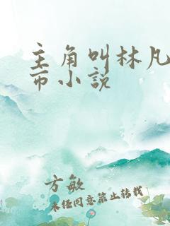 主角叫林凡的都市小说
