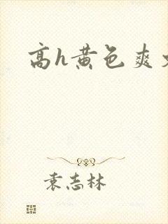 高h黄色爽文