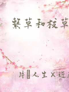 系草和校草