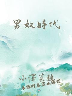 男奴时代