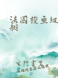 法国梭鱼级核潜艇