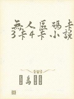 无人区码卡二卡3卡4卡小说