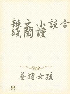辣文小说合集在线阅读