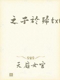之子于归txt