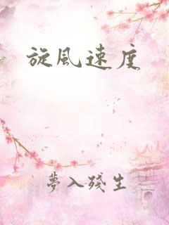 旋风速度